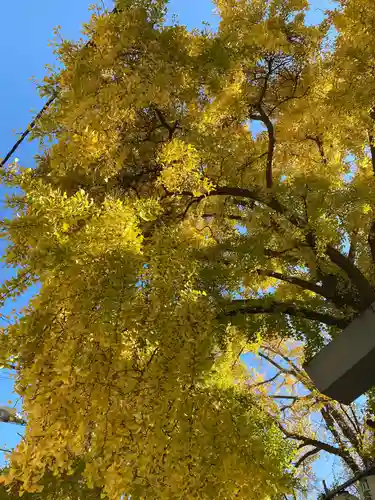 波除神社（波除稲荷神社）の自然