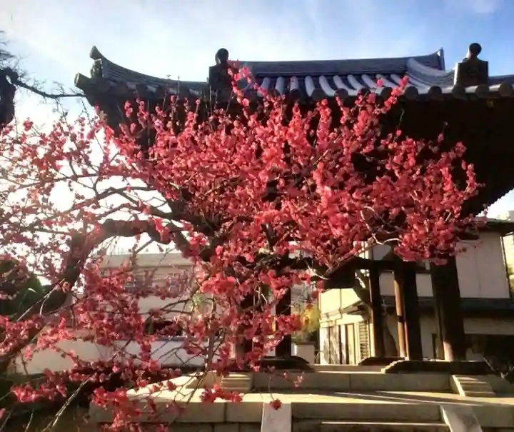 圓照寺(東京都)
