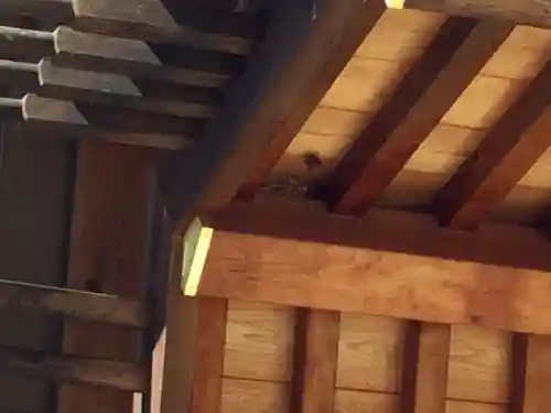 大間々神明宮(群馬県)