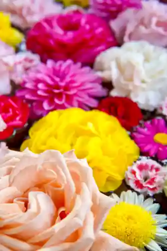 伊達神社(北海道)