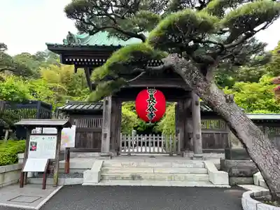 長谷寺の山門・神門