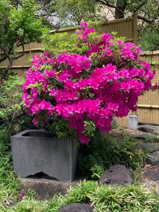 西蓮寺(千葉県)