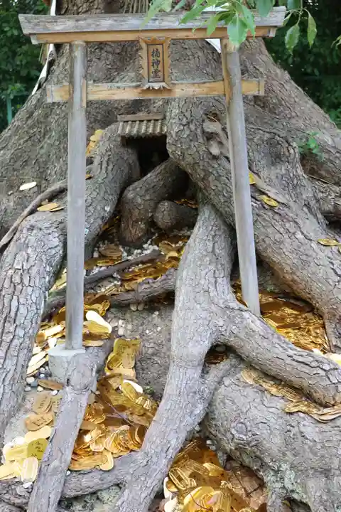 和泉國一之宮 大鳥大社(大阪府)