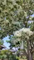 當麻寺西南院(奈良県)