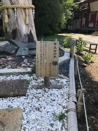 鹿嶋神社の自然
