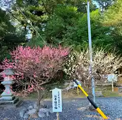 矢奈比賣神社（見付天神）(静岡県)