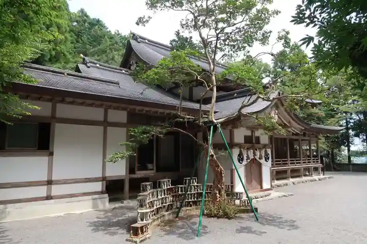 椿大神社(三重県)