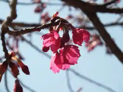 宗泉寺(滋賀県)
