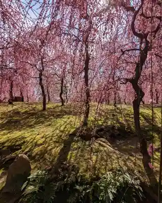 城南宮(京都府)