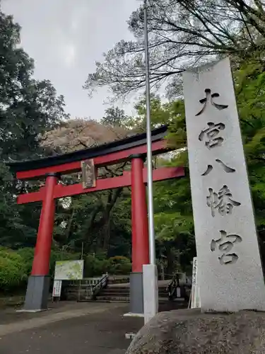 大宮八幡宮の鳥居