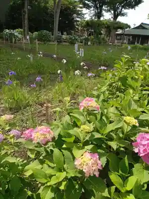 妙法寺(東京都)