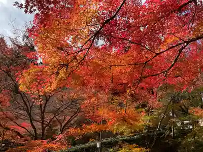 大洞院(静岡県)