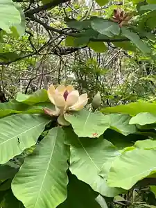 国上寺(新潟県)(2025年05月19日(月) 19時08分38秒投稿)