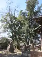 香取神社(埼玉県)