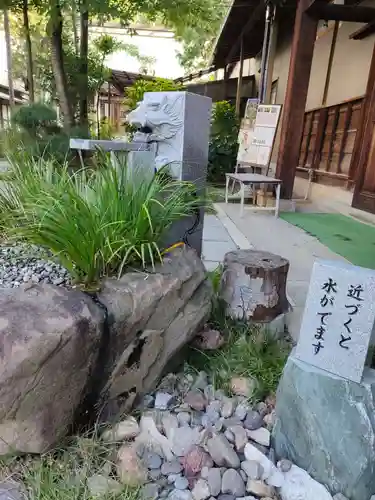 高知大神宮の手水舎