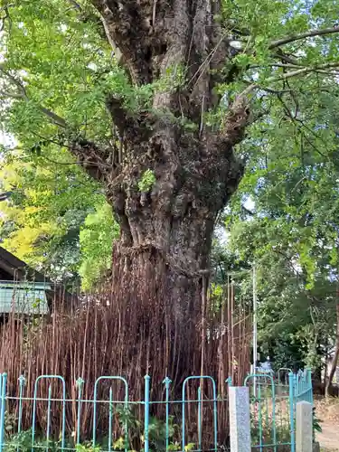 鞆江神社（明地）(愛知県)