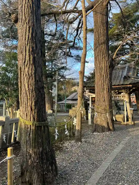 玉前神社(千葉県)