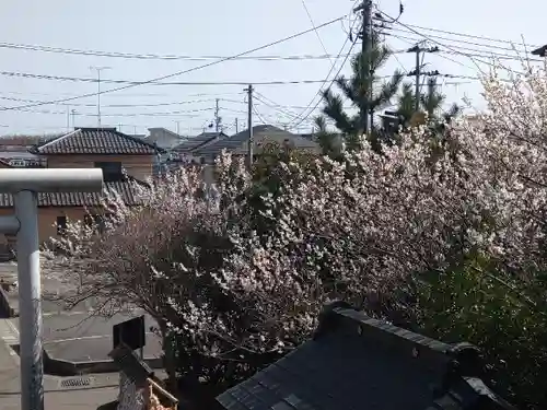 四倉諏訪神社の景色