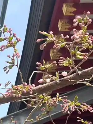 宝壽山 吉祥院(北海道)