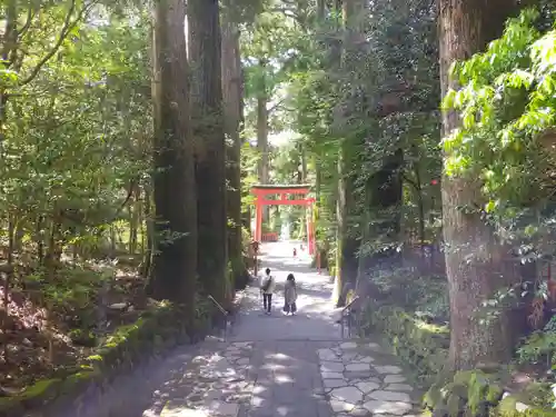箱根神社のその他建物
