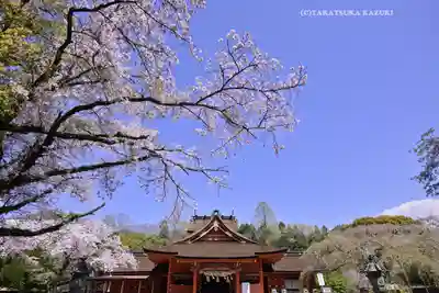 富士山本宮浅間大社(静岡県)