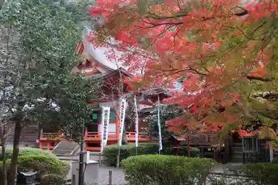 真禅院(岐阜県)