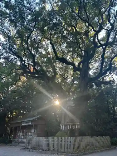 熱田神宮(愛知県)