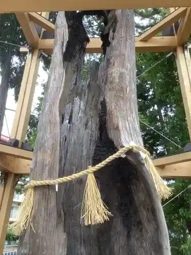 西八龍社の自然