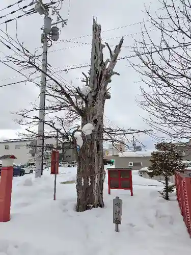 旭川銀座弁天神社の自然