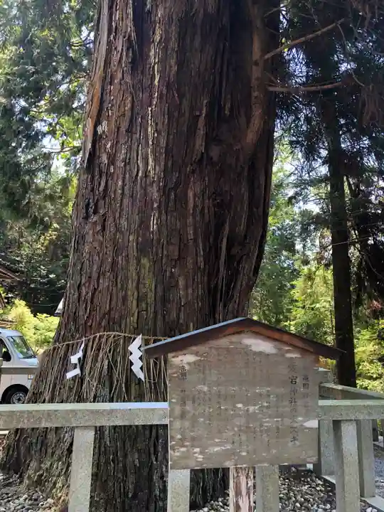 愛宕神社(阿多古神社)の自然