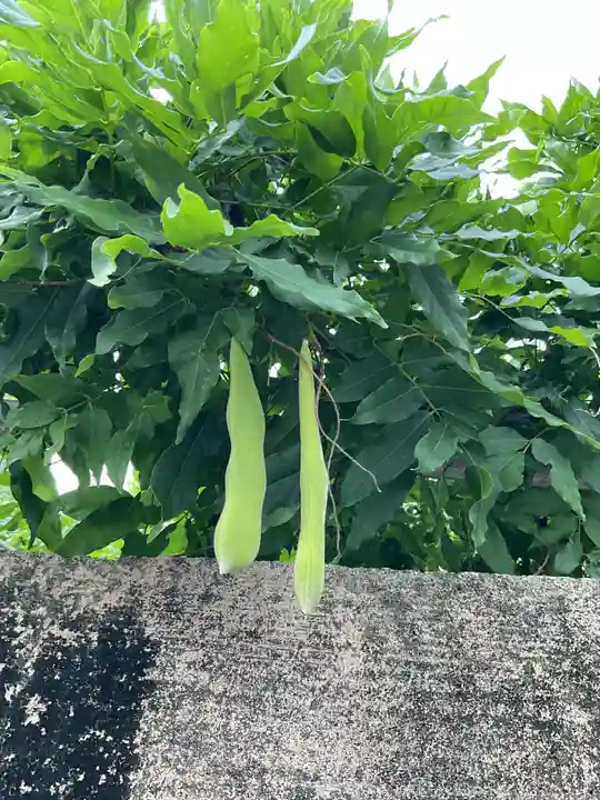 田縣神社(愛知県)