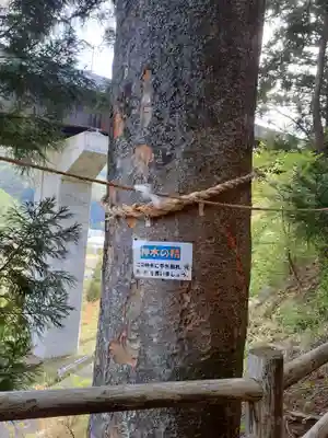 甲子郷日月神社(岩手県)