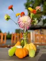 伊達神社(北海道)