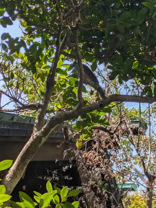 熱田神社(東京都)