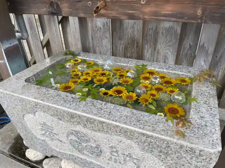 札幌八幡宮の手水舎