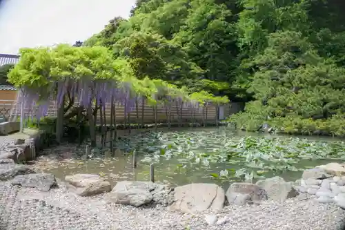 出雲大社の庭園