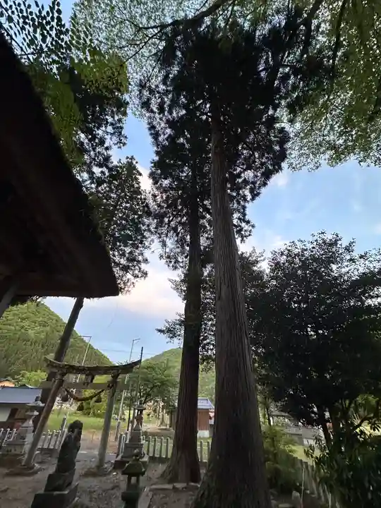 加茂神社(福井県)