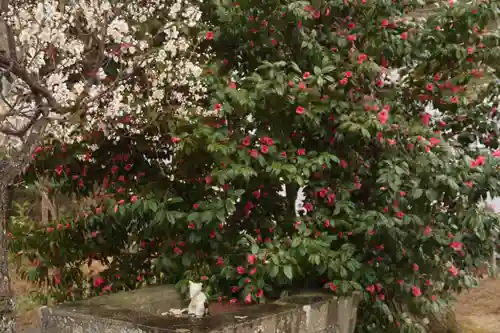 開成山大神宮の庭園