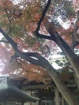 昌翁寺の本殿・本堂