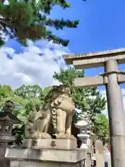 住吉大社(大阪府)