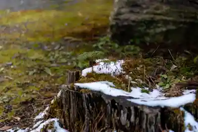 穂高神社本宮(長野県)