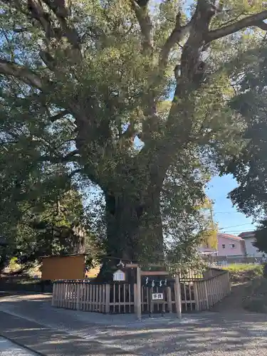 伊勢神明社(静岡県)