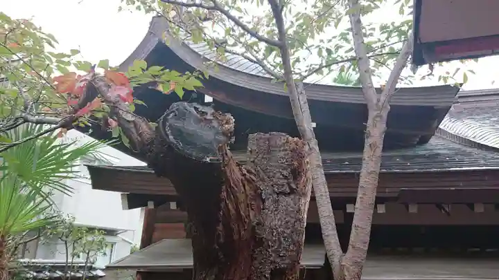 一宮神社の本殿・本堂