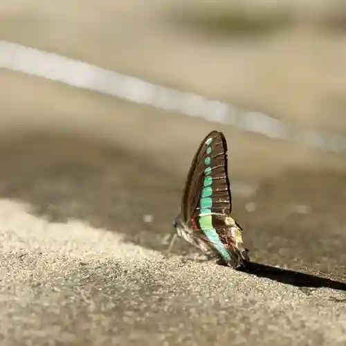 伊勢の国 四天王寺(三重県)