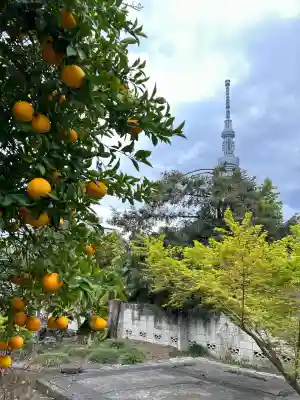 弘福寺(東京都)