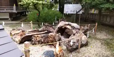 布多天神社(東京都)