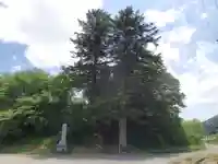 長岡神社・八幡神社・天御布須麻神社の自然