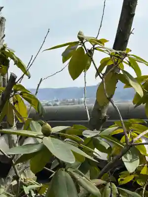 興善寺の{uncategorized: "未分類", other: "その他", undefined: "問題あり", building: "その他建物", grave: "お墓", sacred_gate: "鳥居", guardian: "狛犬", statue: "像", buddha: "仏像", history: "歴史", nature: "自然", garden: "庭園", animal: "動物", pagoda: "塔", temizu: "手水舎", mountain_gate: "山門・神門", sanctuary: "本殿・本堂", subordinate: "末社・摂社", art: "芸術", scenery: "景色", jizo: "地蔵", ema: "絵馬", goshuin: "御朱印", omikuji: "おみくじ", items: "授与品その他", amulet: "お守り", goshuincho: "御朱印帳", eats: "食事", festival: "お祭り", votive_dance: "神楽", shichigosan: "七五三参", wedding: "結婚式", experience: "体験その他", initially: "初詣", around: "周辺", anti_infection: "感染症対策"}