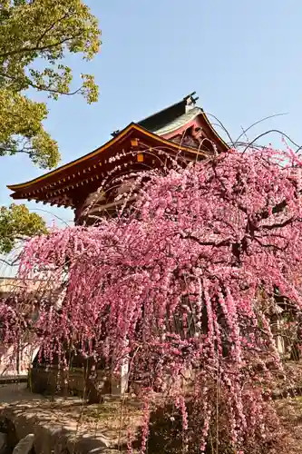 防府天満宮(山口県)