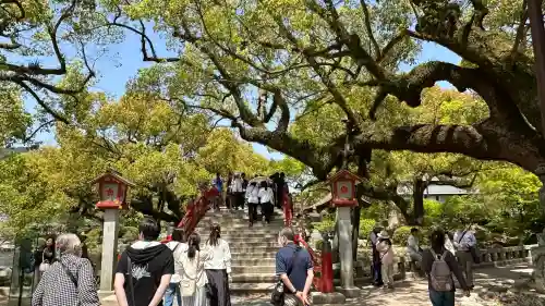 太宰府天満宮の庭園